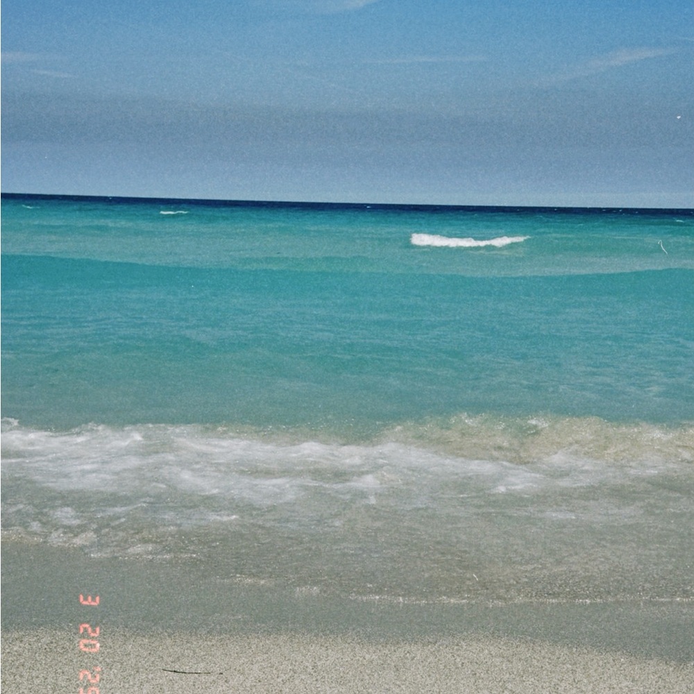 Meet your Posher, Sofia